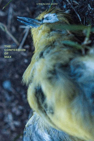 Постер: The Confession of Max