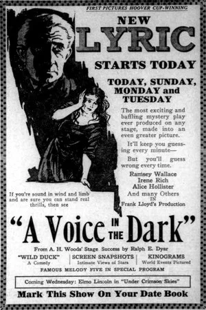 Постер: A Voice in the Dark