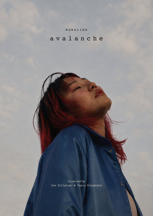Постер: Monolink: Avalanche