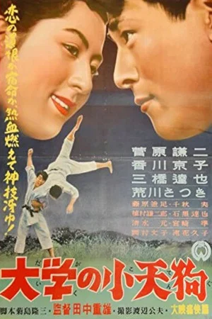 Постер: Daigaku no kotengu