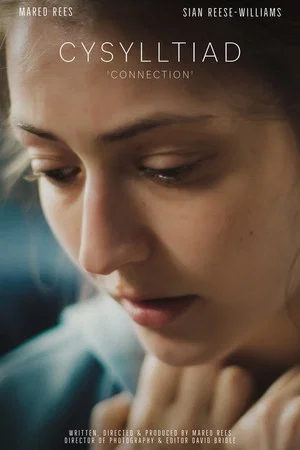 Постер: Connection