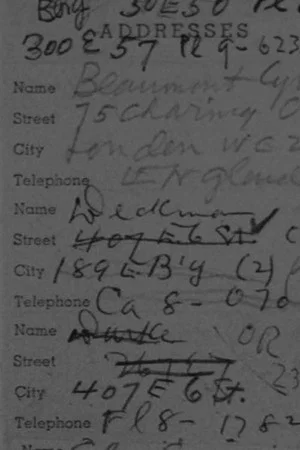 Постер: The Address Book