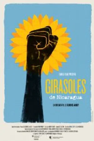 Постер: Sunflowers of Nicaragua