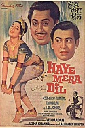 Постер: Haye Mera Dil