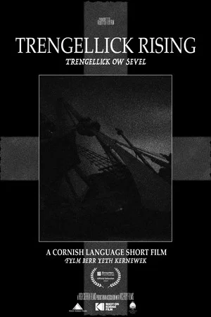 Постер: Trengellick Rising