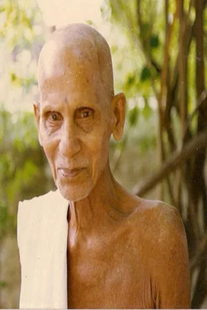 Постер: An Interview with Annamalai Swami by Jim Lemkin