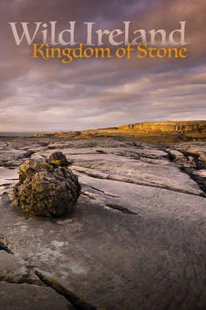 Постер: Wild Ireland: Kingdom of Stone