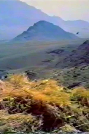 Постер: Think of the Kind Mountain