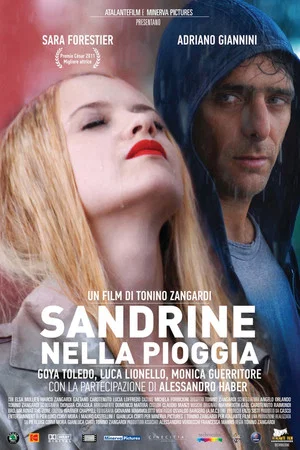 Постер: Sandrine in the Rain