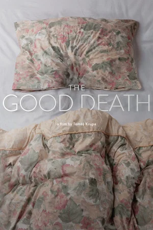 Постер: The Good Death