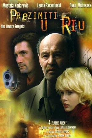 Постер: Winter in Rio