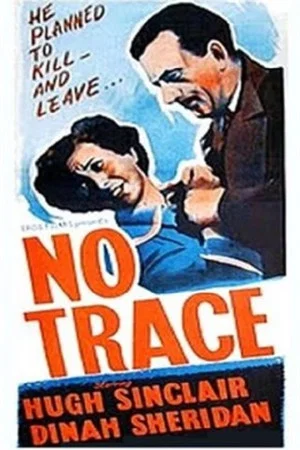 Постер: No Trace