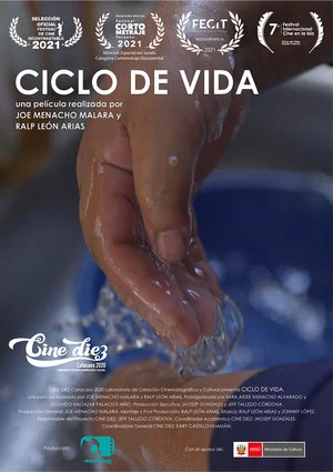 Постер: Ciclo de Vida