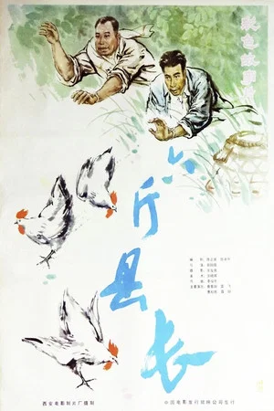 Постер: 六斤县长