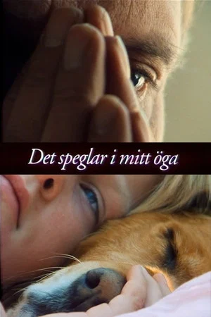 Постер: My Eye Is Reflecting