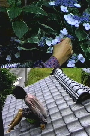 Постер: Rain at home