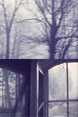 Постер: Ives House-Woodstock