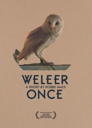 Постер: Once