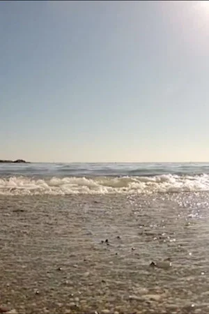 Постер: Sea
