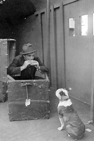 Постер: The Dog in the Baggage Car