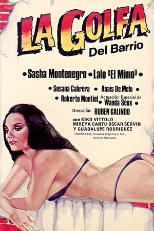Постер: La golfa del barrio