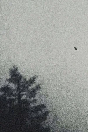 Постер: Kiri (The Fog)