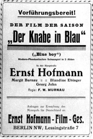 Постер: The Boy in Blue