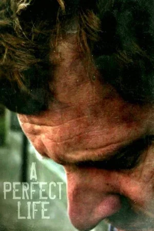 Постер: A Perfect Life