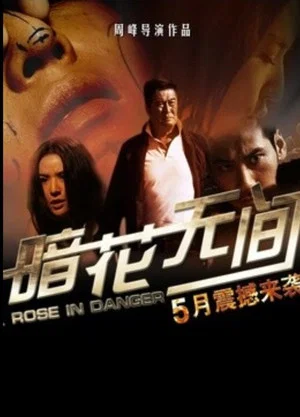 Постер: 暗花无间