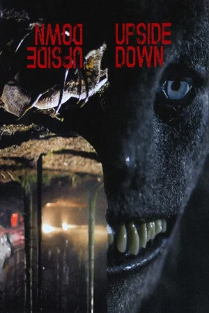 Постер: UpsideDown