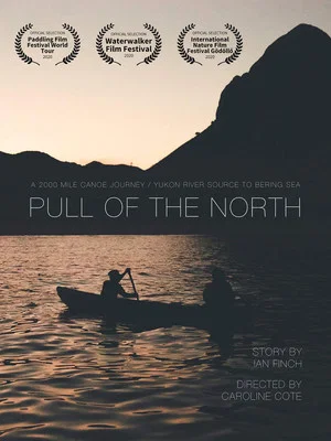 Постер: Pull of the North