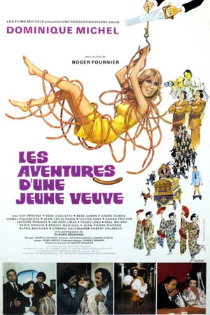 Постер: Les aventures d'une jeune veuve