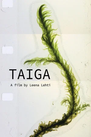 Постер: Taiga