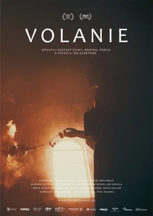 Постер: The Calling
