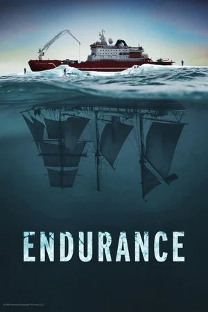 Постер: Endurance