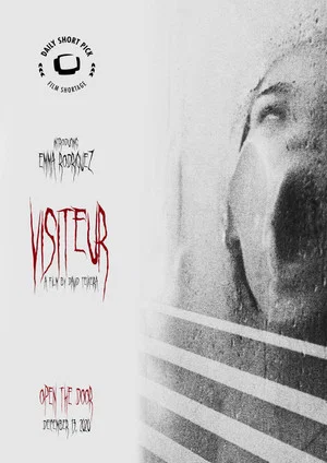 Постер: Visitor