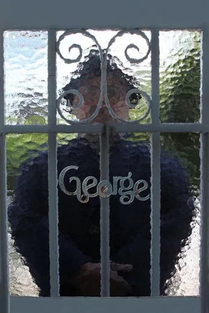 Постер: George