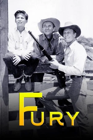 Постер: Fury