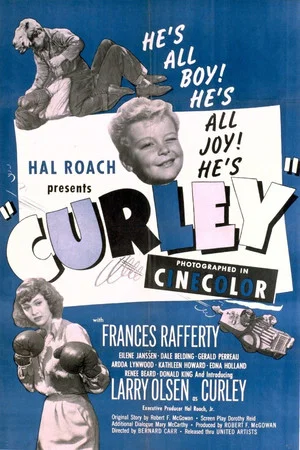 Постер: Curley