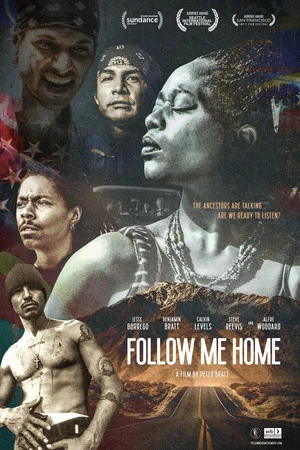 Постер: Follow Me Home