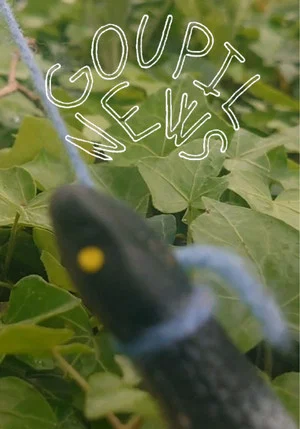 Постер: Goupil News