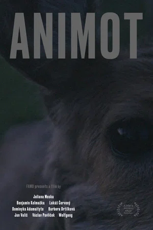 Постер: Animot