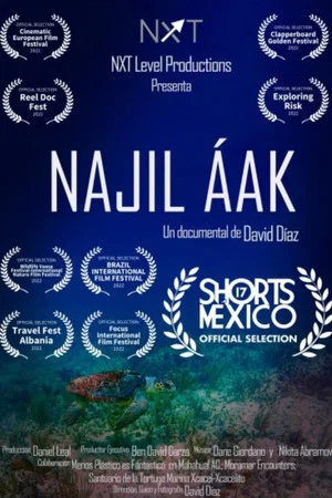 Постер: Najil Aak