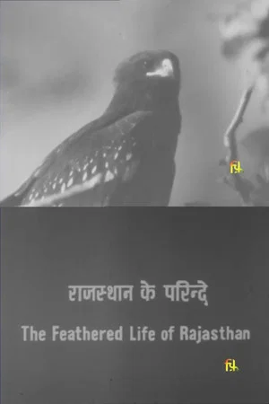 Постер: The Feathered Life of Rajasthan