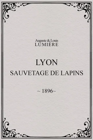 Постер: Lyon : sauvetage de lapins