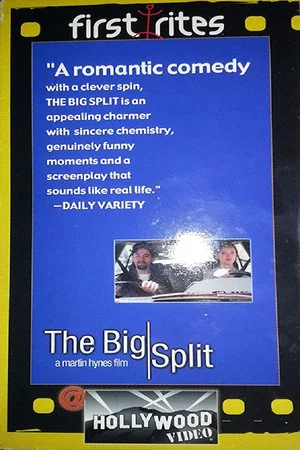 Постер: The Big Split