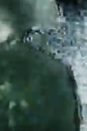 Постер: Man