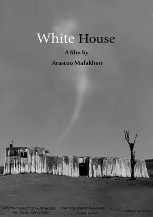 Постер: White House