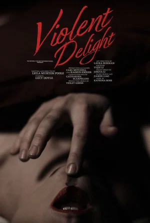 Постер: Violent Delight