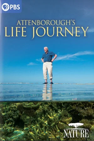 Постер: Attenborough's Life Journey
